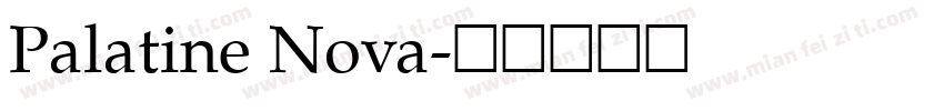 Palatine Nova字体转换